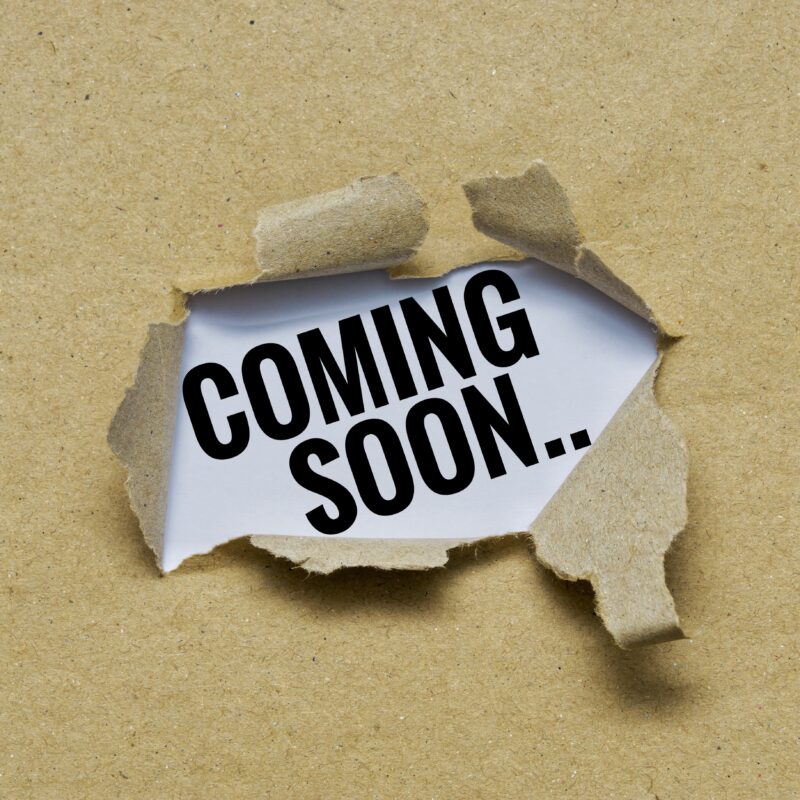 NDLC Training Day Two – Advanced Neurocognition & Application