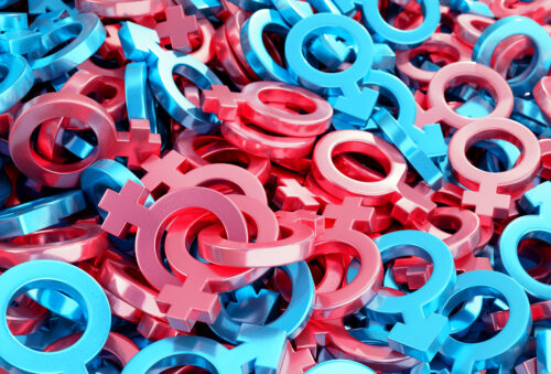 [ COMING SOON! ]Gender Differences in ADHD