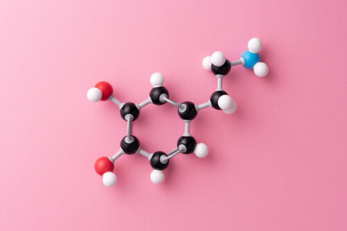 ND Explored: Neurochemicals 101
