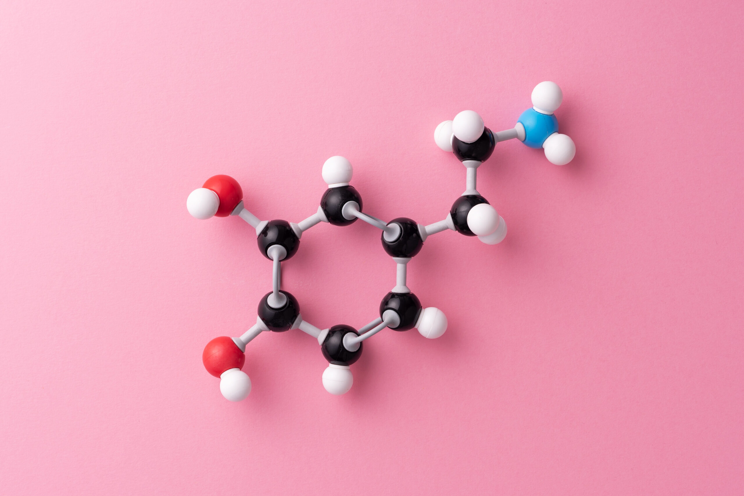 ND Explored: Neurochemicals 101